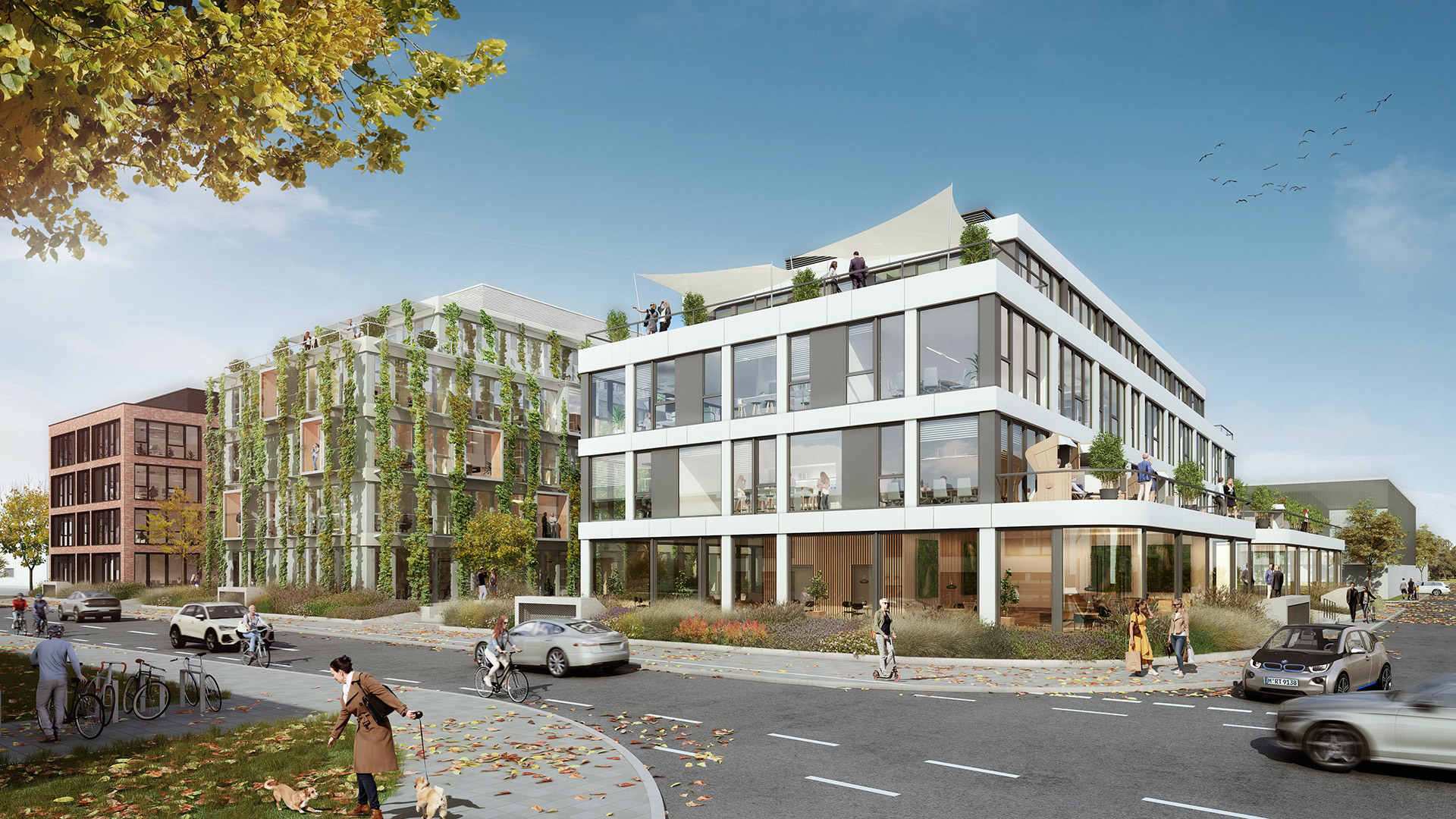 Loft-House-Green-House-Multi-Space-House-Neobel